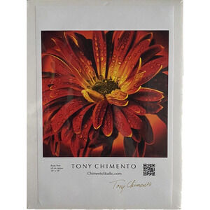 Rusty Pom by Tony Chimento Signed Art Poster 13"x19" #1